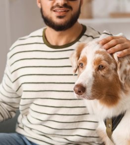 National Disability Insurance Scheme bill requires further work