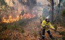 BUSHFIRE CRISES: Perth Catholic community to unite for victims and survivors