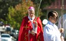 HOLY WEEK 2017: Palm Sunday offers us the chance to follow in Jesus’ footsteps, says Archbishop Costelloe